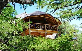 Pezulu Tree House Lodge